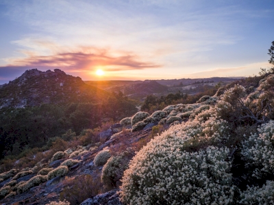 Lorem ipsum dolor sit amet Lorem ipsum dolor sit amet